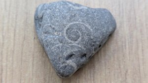 Gastropod - spiral impression