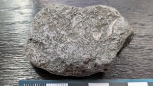 Unknown - measurement ~5cm