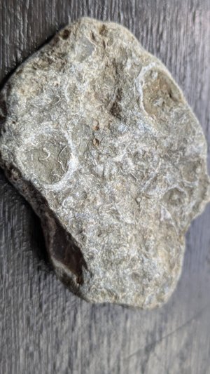 Unknown - detail